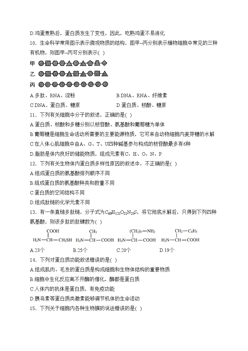 河南省郑州市十校联考2024-2025学年高一上学期11月期中考试生物试卷(含答案)第3页
