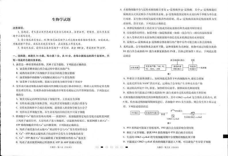 贵州省六校联盟2025届高三上学期12月实用性联考（三）-生物试题+答案第1页