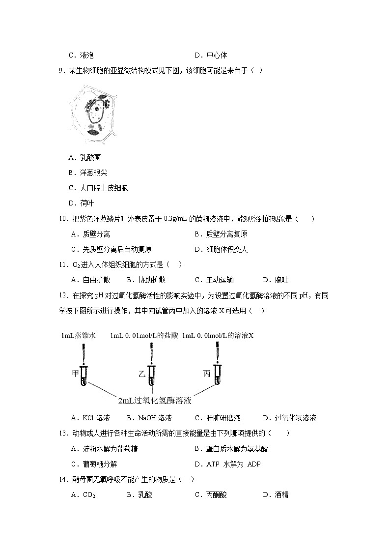 江苏省淮安市2024-2025学年高二上学期学业水平合格性考试调研生物试题第2页