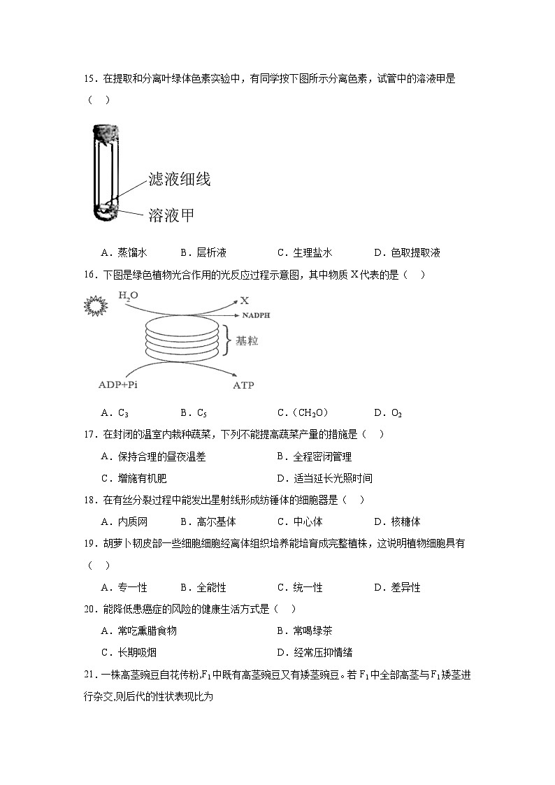 江苏省淮安市2024-2025学年高二上学期学业水平合格性考试调研生物试题第3页