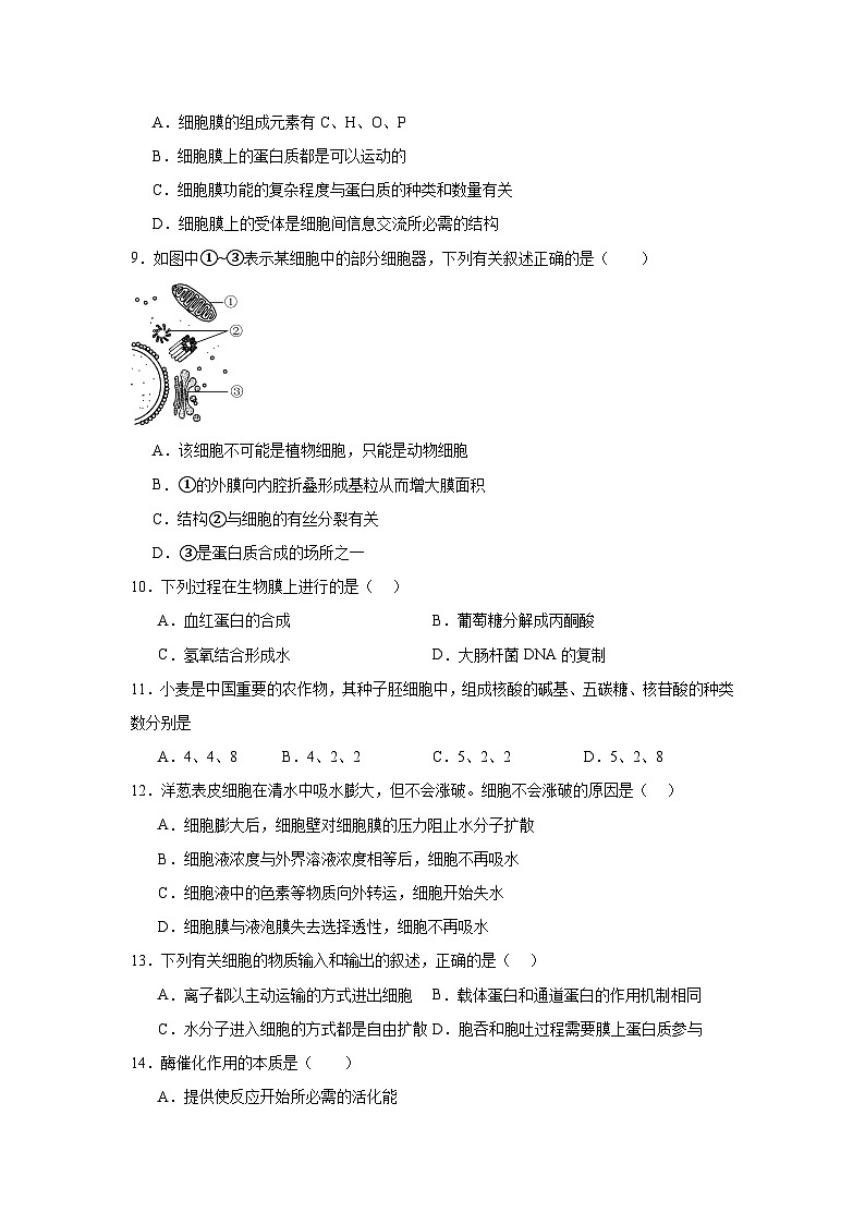江苏省普通高中2024-2025学年高二上学期学业水平合格性考试调研生物试题第2页