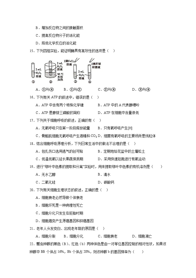 江苏省普通高中2024-2025学年高二上学期学业水平合格性考试调研生物试题第3页