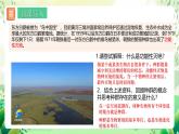 人教版高中生物选择性必修二1.1《种群的数量特征》课件+教案+分层作业+导学案
