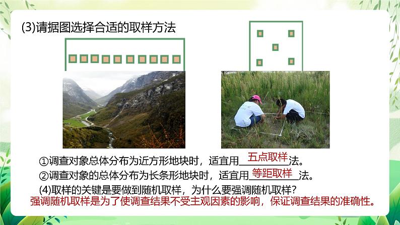 人教版高中生物选择性必修二1.1《种群的数量特征》（教学课件）第8页