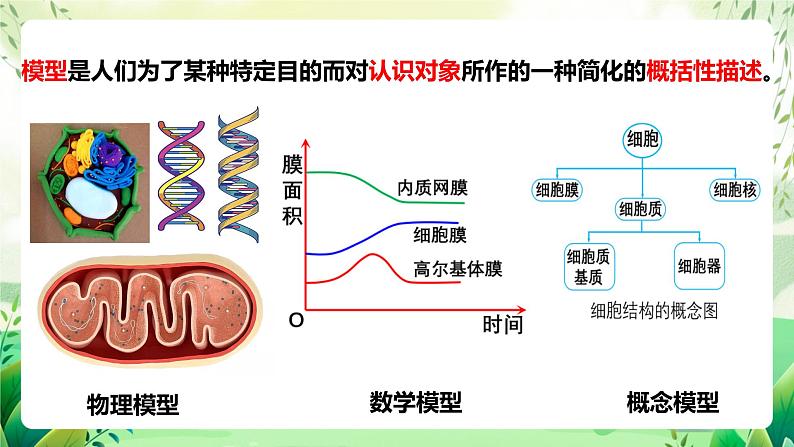 人教版高中生物选择性必修二1.2.1《建构种群增长模型的方法及种群数量的变化》（教学课件）第6页