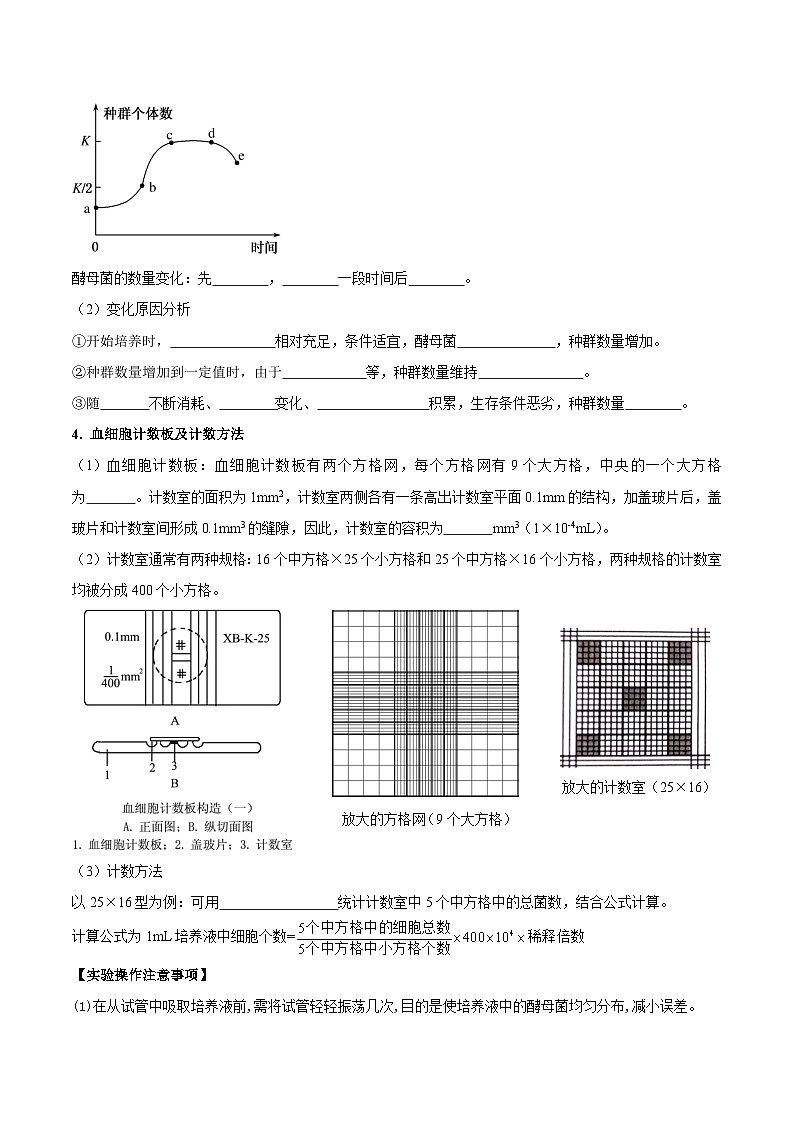 人教版高中生物选择性必修二1.2.2《种群数量的变化》导学案（原卷版）第2页