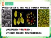 人教版高中生物选择性必修二1.2.2《种群数量的变化》）课件+教案+分层作业+导学案