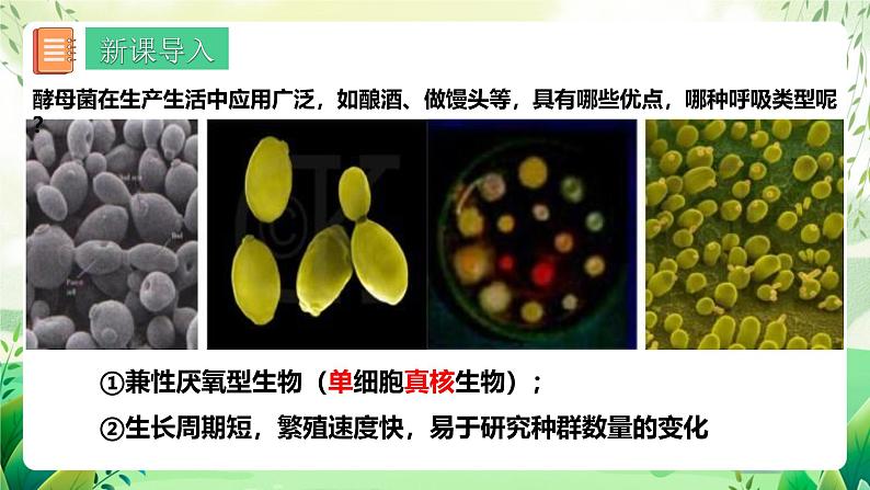 人教版高中生物选择性必修二1.2.2《培养液中酵母菌种群数量的变化》（教学课件）第3页