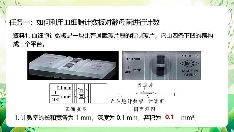 人教版高中生物选择性必修二1.2.2《培养液中酵母菌种群数量的变化》（教学课件）第7页