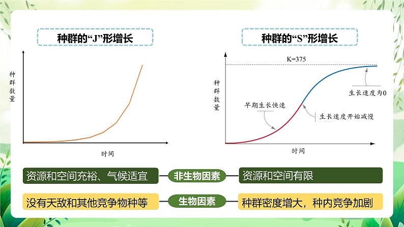 人教版高中生物选择性必修二1.3《影响种群数量变化的因素》（教学课件）第4页