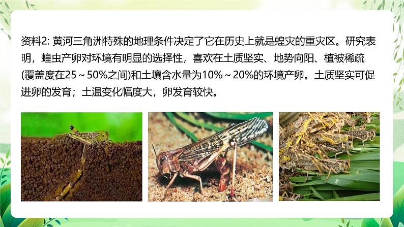 人教版高中生物选择性必修二1.3《影响种群数量变化的因素》（教学课件）第8页