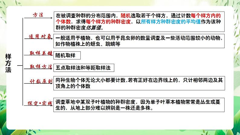 人教版高中生物选择性必修二第1章《种群及其动态》（单元复习课件）第7页