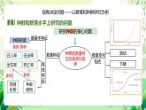 人教版高中生物选择性必修二2.1《群落的结构》（第1课时）课件+教案+分层作业+导学案