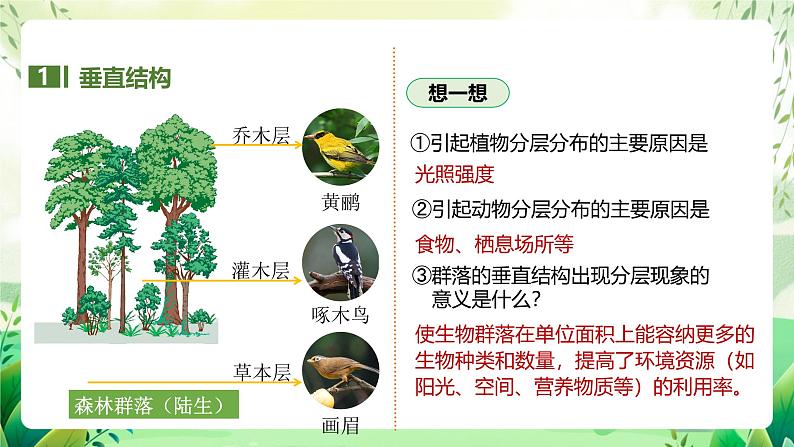 人教版高中生物选择性必修二2.1《群落的结构》（第2课时）（教学课件）第5页