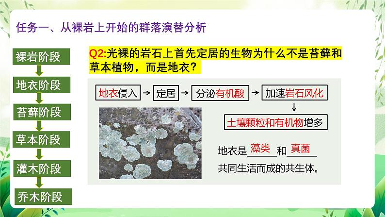 人教版高中生物选择性必修二2.3《群落的演替》（教学课件）第7页