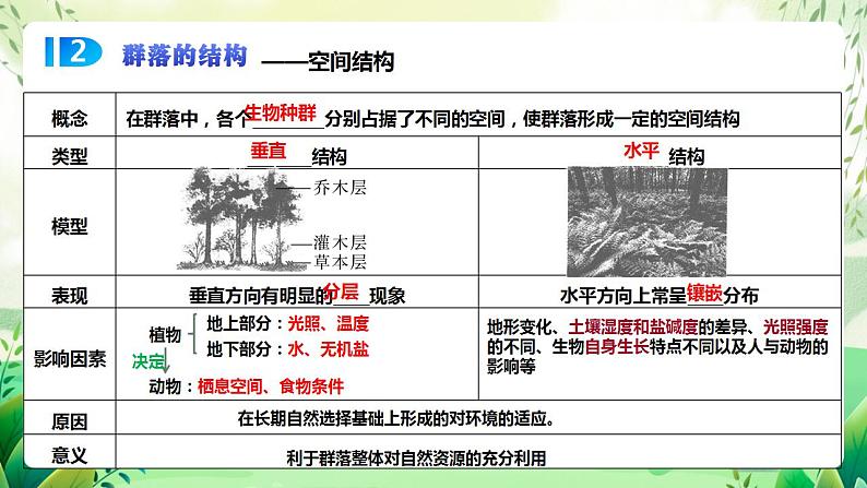 人教版高中生物选择性必修二第2章《群落及其演替》（单元复习课件）第8页