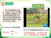 人教版高中生物选择性必修二3.2.1《能量流动的过程及特点》课件+教案+分层作业+导学案