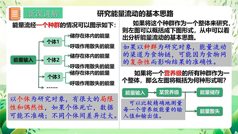 人教版高中生物选择性必修二3.2.1《能量流动的过程及特点》（教学课件）第4页