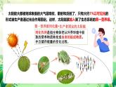 人教版高中生物选择性必修二3.2.1《能量流动的过程及特点》课件+教案+分层作业+导学案