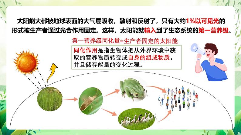 人教版高中生物选择性必修二3.2.1《能量流动的过程及特点》（教学课件）第5页