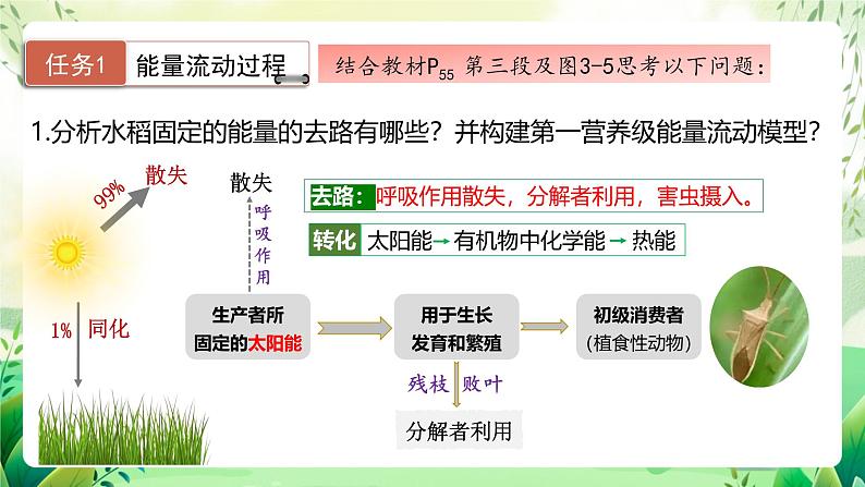 人教版高中生物选择性必修二3.2.1《能量流动的过程及特点》（教学课件）第6页