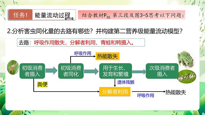 人教版高中生物选择性必修二3.2.1《能量流动的过程及特点》（教学课件）第7页