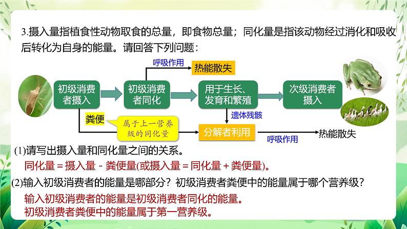 人教版高中生物选择性必修二3.2.1《能量流动的过程及特点》（教学课件）第8页