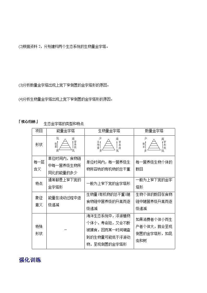 人教版高中生物选择性必修二3.2.2《生态金字塔和研究能量流动的实践意义》导学案（原卷版）第3页