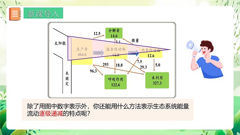 人教版高中生物选择性必修二3.2.2《生态金字塔和研究能量流动的实践意义》（教学课件）第3页