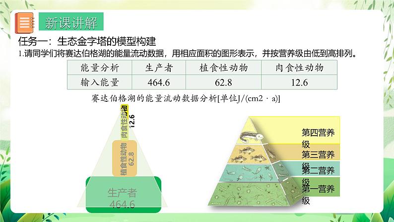 人教版高中生物选择性必修二3.2.2《生态金字塔和研究能量流动的实践意义》（教学课件）第4页