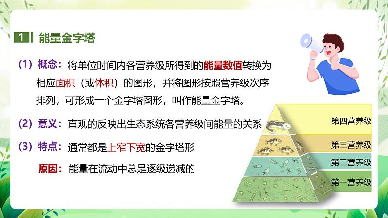 人教版高中生物选择性必修二3.2.2《生态金字塔和研究能量流动的实践意义》（教学课件）第5页