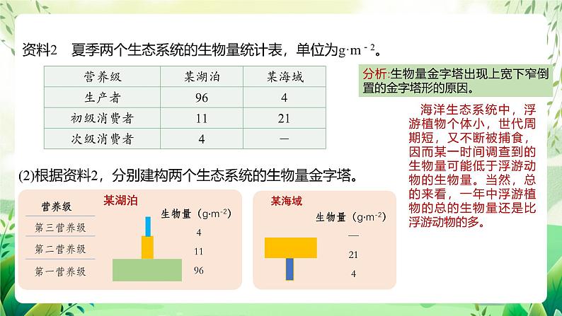 人教版高中生物选择性必修二3.2.2《生态金字塔和研究能量流动的实践意义》（教学课件）第8页