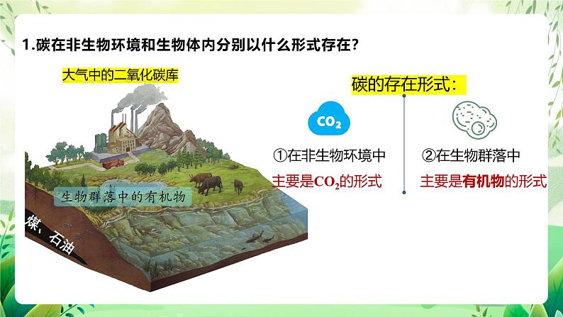 人教版高中生物选择性必修二3.3.1《生态系统的物质循环及与能量流动的关系》（教学课件）第5页