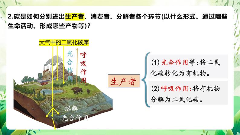 人教版高中生物选择性必修二3.3.1《生态系统的物质循环及与能量流动的关系》（教学课件）第6页