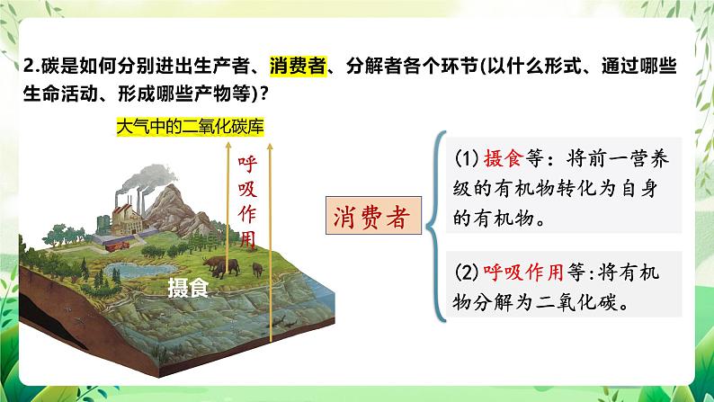 人教版高中生物选择性必修二3.3.1《生态系统的物质循环及与能量流动的关系》（教学课件）第7页