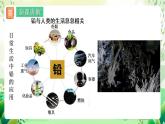 人教版高中生物选择性必修二3.3.2《生物富集及探究土壤微生物的分解作用》课件+教案+分层作业+导学案