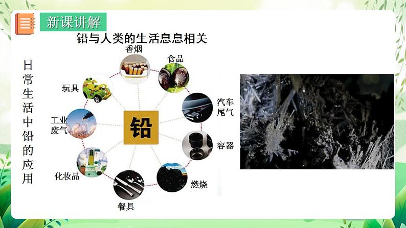 人教版高中生物选择性必修二3.3.2《生物富集及探究土壤微生物的分解作用》（教学课件）第4页