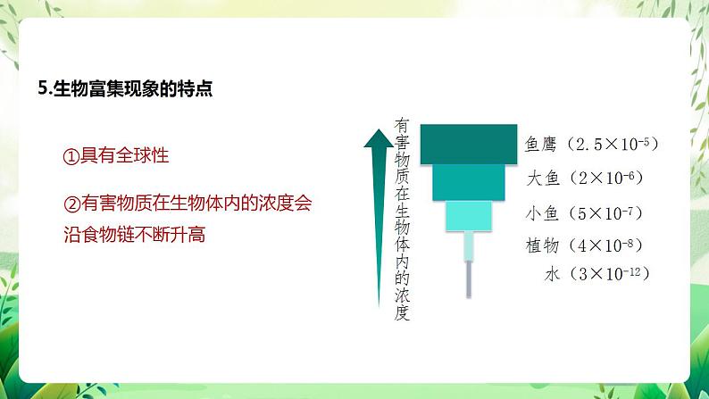 人教版高中生物选择性必修二3.3.2《生物富集及探究土壤微生物的分解作用》（教学课件）第6页