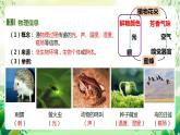 人教版高中生物选择性必修二3.4《生态系统的信息传递》课件+教案+分层作业+导学案