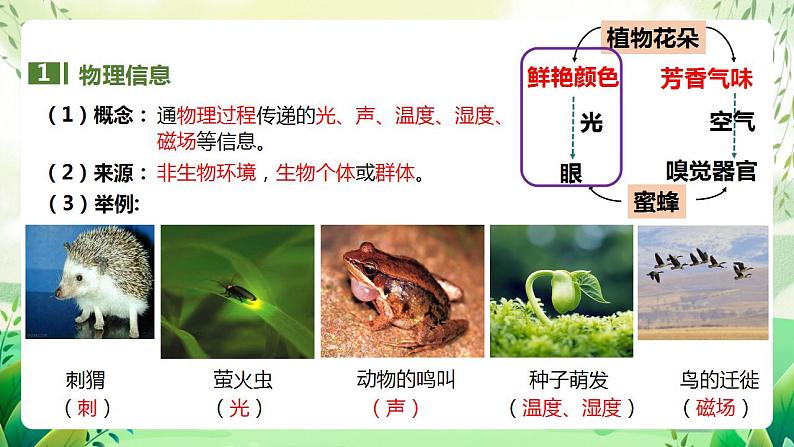 人教版高中生物选择性必修二3.4《生态系统的信息传递》（教学课件）第5页