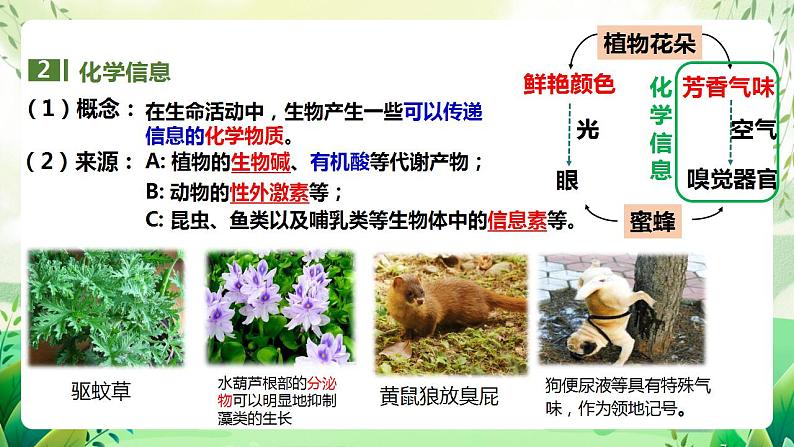 人教版高中生物选择性必修二3.4《生态系统的信息传递》（教学课件）第7页