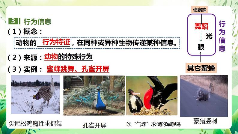 人教版高中生物选择性必修二3.4《生态系统的信息传递》（教学课件）第8页