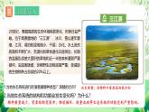 人教版高中生物选择性必修二3.5《生态系统的稳定性》课件+教案+分层作业+导学案