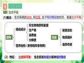 人教版高中生物选择性必修二3.5《生态系统的稳定性》课件+教案+分层作业+导学案