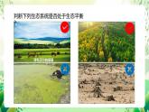 人教版高中生物选择性必修二3.5《生态系统的稳定性》课件+教案+分层作业+导学案