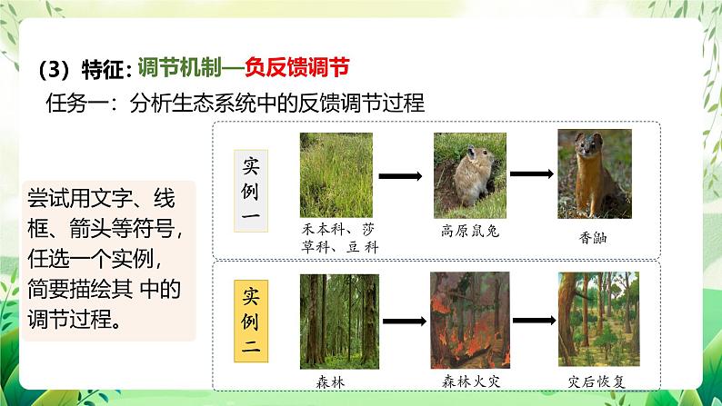 人教版高中生物选择性必修二3.5《生态系统的稳定性》（教学课件）第8页