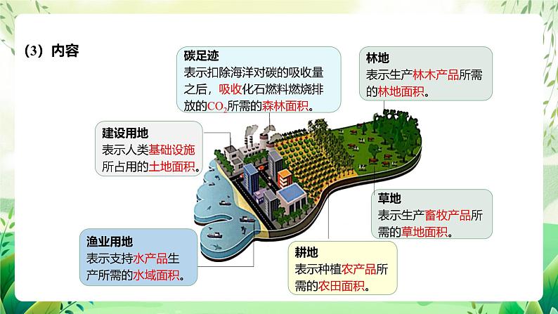 人教版高中生物选择性必修二4.1《人类活动对生态环境的影响》（教学课件）第5页