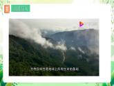 人教版高中生物选择性必修二4.2《生物多样性及其保护》课件+教案+分层作业+导学案