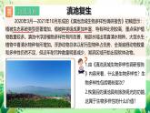 人教版高中生物选择性必修二4.2《生物多样性及其保护》课件+教案+分层作业+导学案