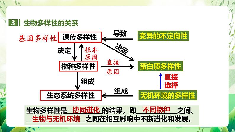 人教版高中生物选择性必修二4.2《生物多样性及其保护》（教学课件）第6页